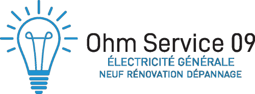 Logo OHM SERVICE 09